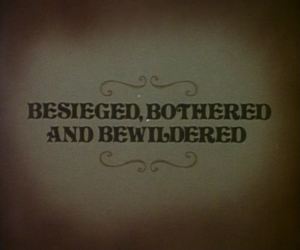 Besieged, bothered and Bewildered