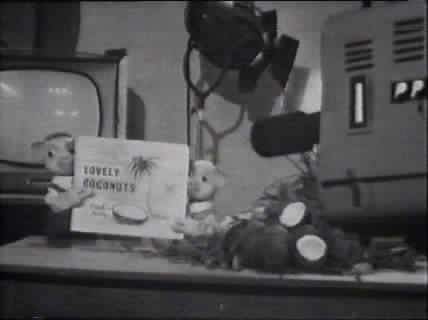 Pinky and Perky advertising coconuts