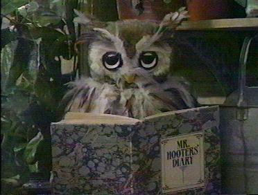 Mr Hooter the Owl