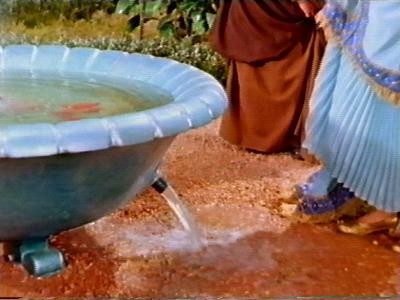 She cares not for the fish in the fountain