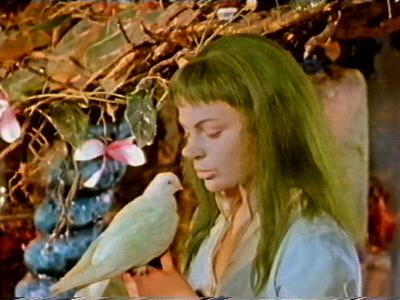 She nurses its broken wing