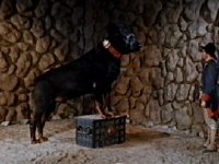 Blackie the first dog