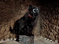 The second dog guardian of the silver chest