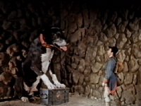 The third dog - biggest of all