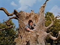 The Soldier climbing out of the tree