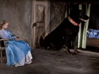 Blackie returns with the Princess