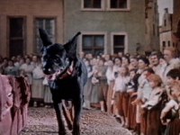 The dogs chase the royalty away